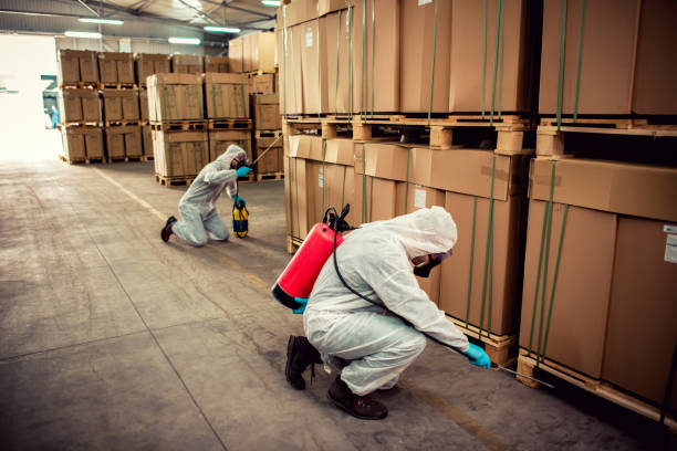 Best Bed Bug Extermination  in Prairie Grove, IL