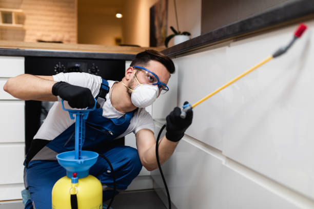 Best Wasp Removal Services  in Prairie Grove, IL