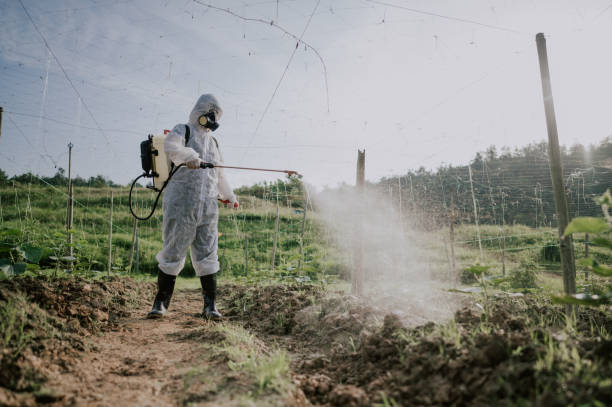 Best Affordable Pest Control Services  in Prairie Grove, IL