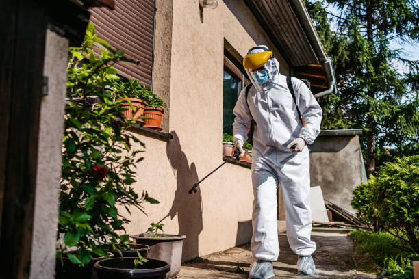 Best Cockroach Control Services  in Prairie Grove, IL