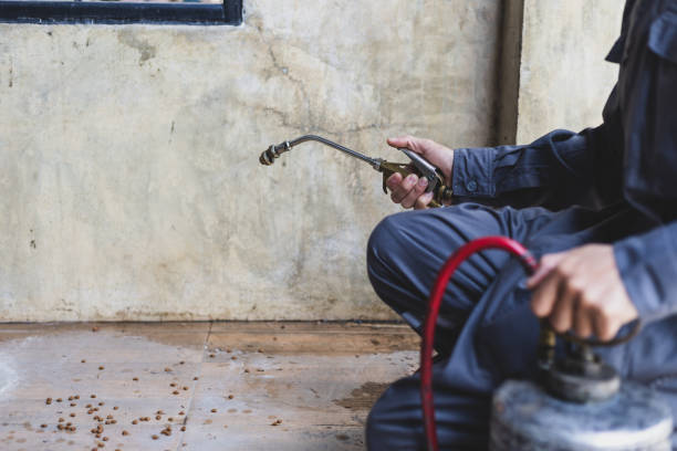 Best Pest Removal Services  in Prairie Grove, IL